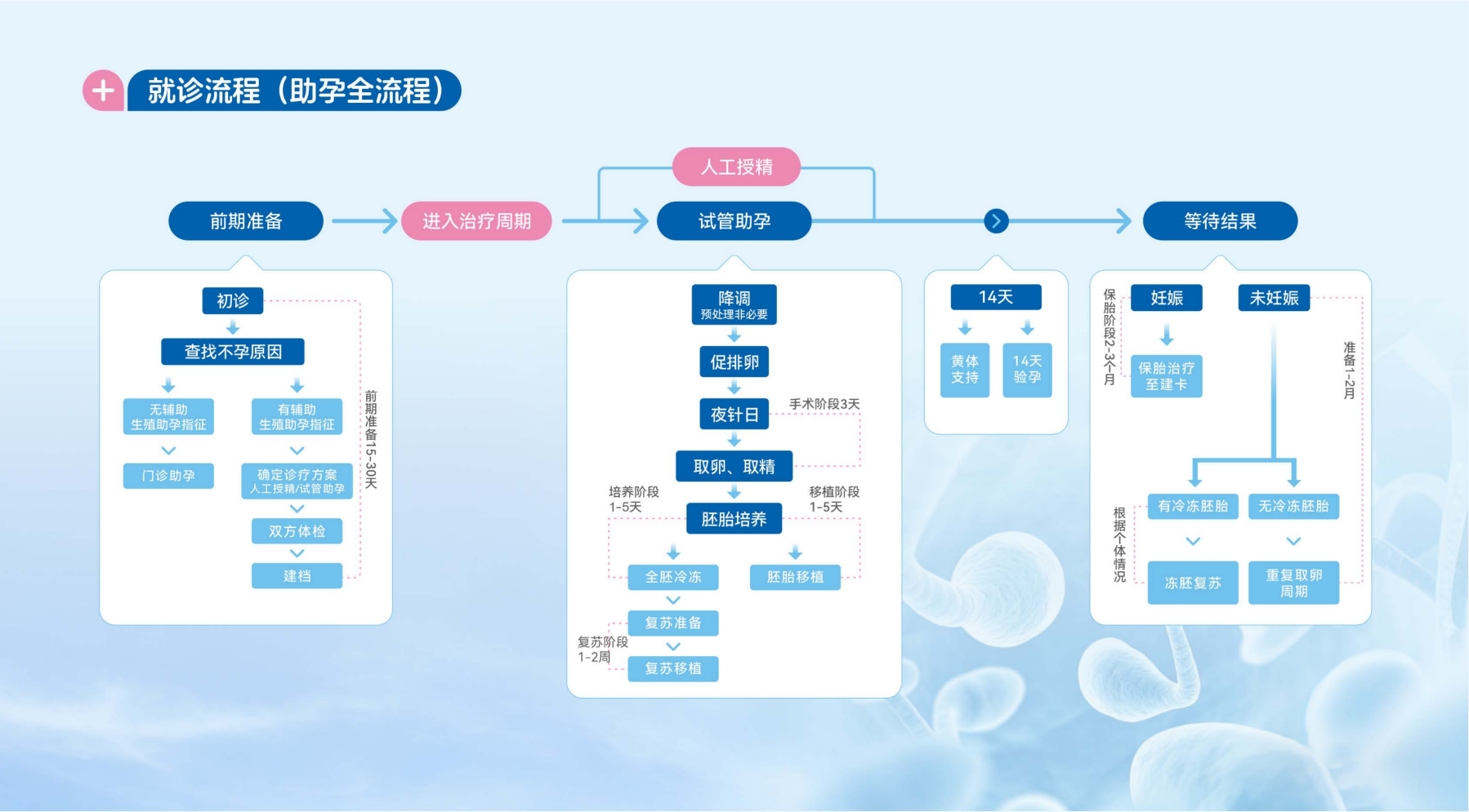 就诊流程（助孕全流程）